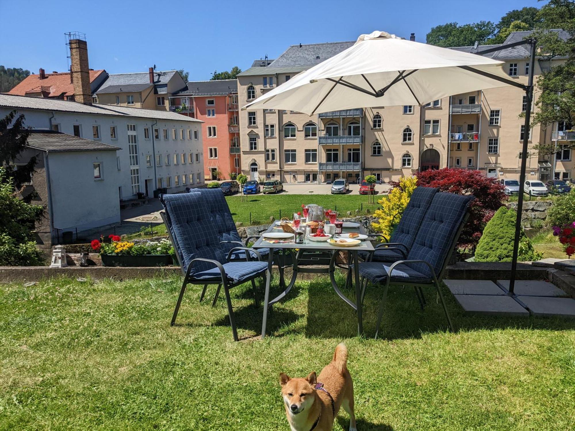 Uo - Urlaubsmagie - Helle Wohnung,Sauna,Whirlpool Sebnitz Buitenkant foto